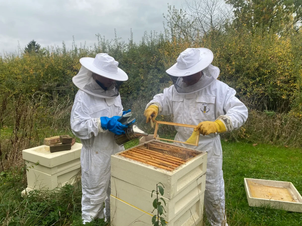 Bees at Freedom Farm Suffolk