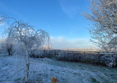 Frosty winter morning at Freedom Farm