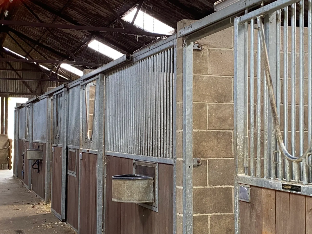 Loddon boxes hire Freedom Farm Newmarket