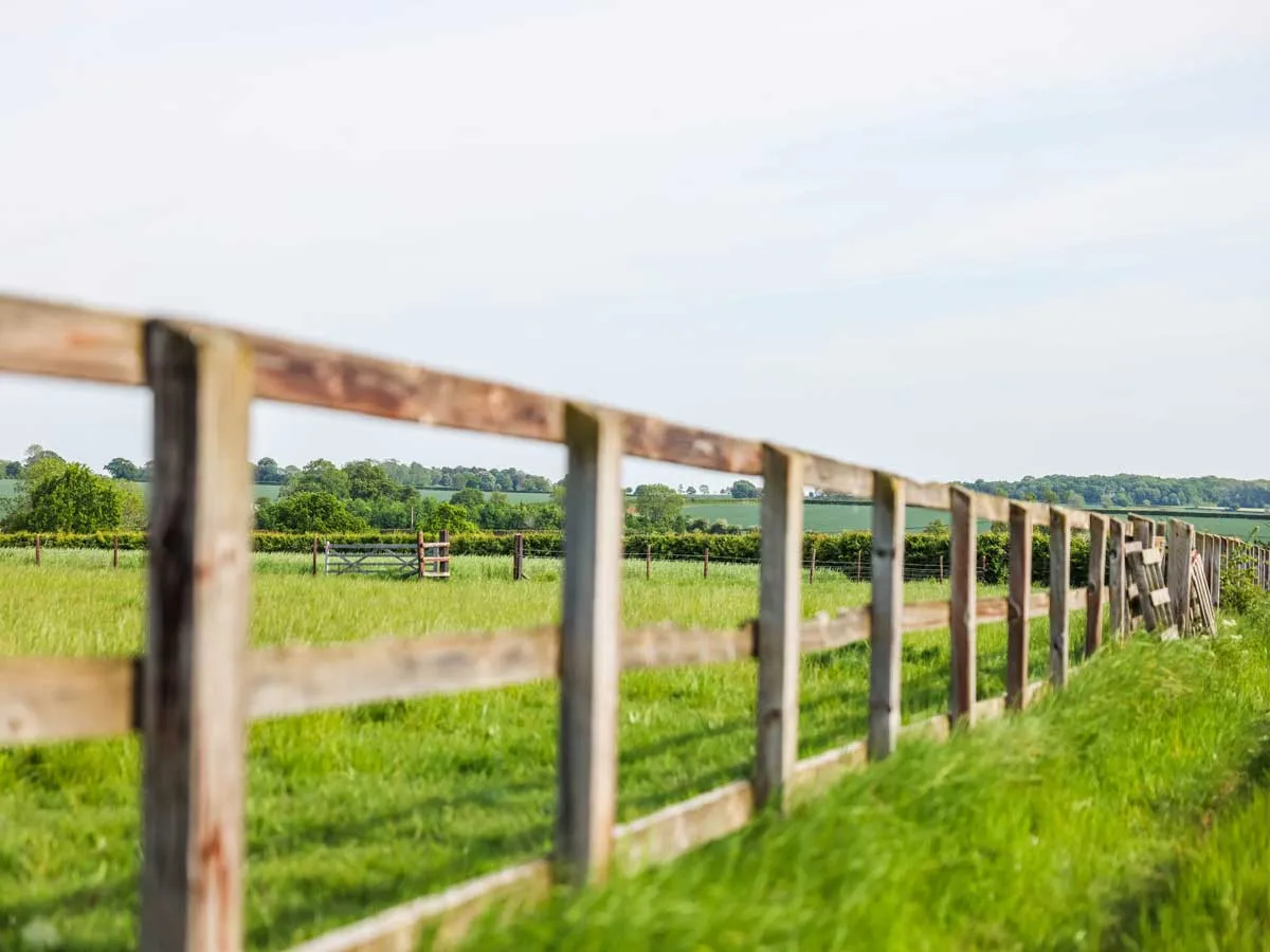 Fields with post and rail fencing