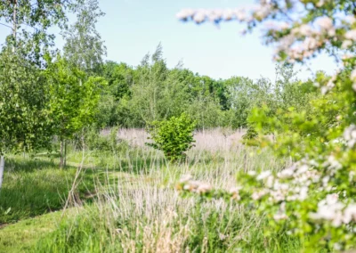 Trees and fields at Freedom Farm