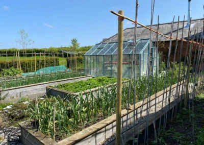 Veg garden at Freedom Farm