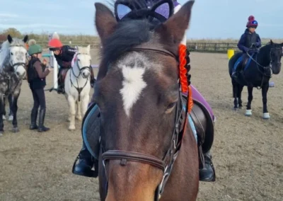 Fun at Freedom Farm Riding Camp