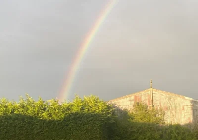 Rainbow at Freedom Farm, Suffolk