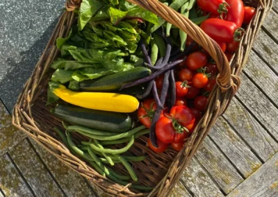 Sustainable mixed veg at Freedom Farm Suffolk