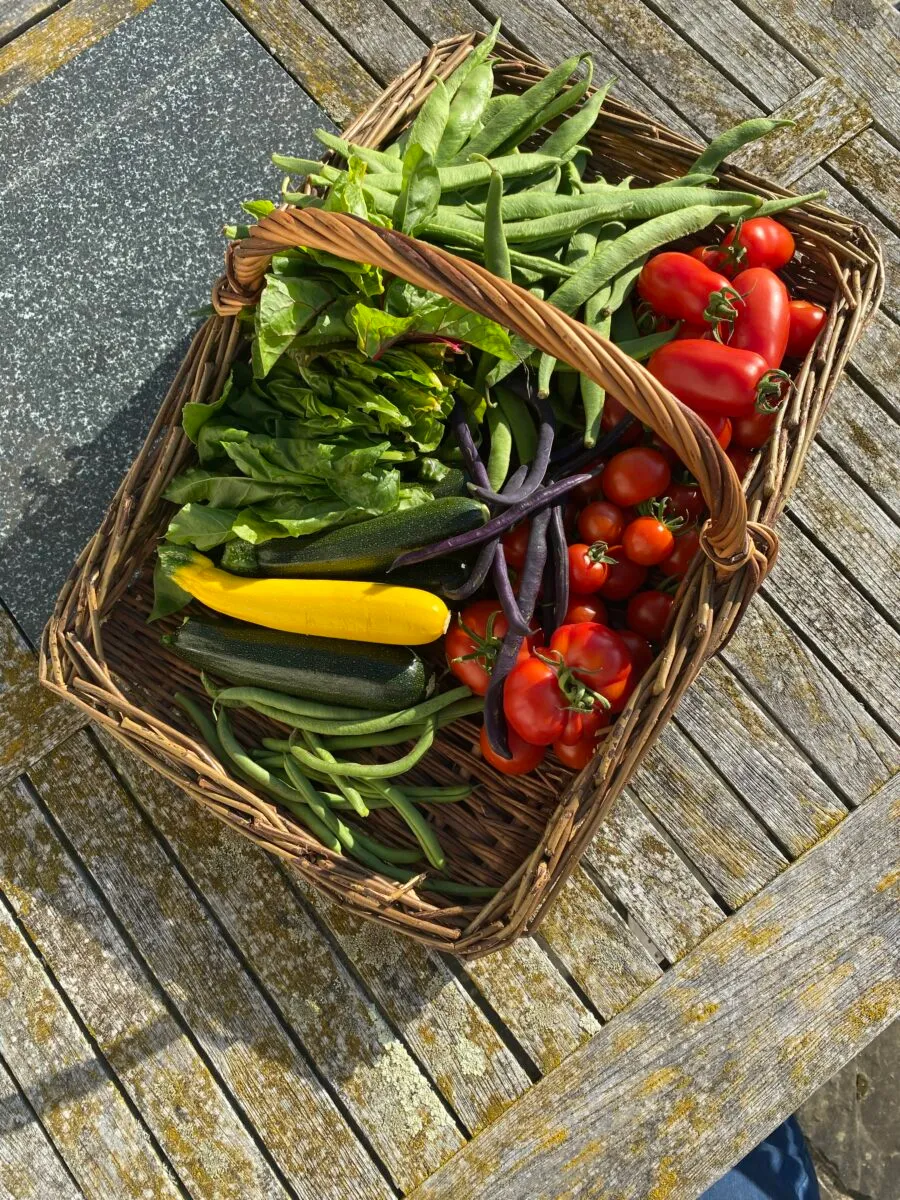 Sustainable mixed veg at Freedom Farm Suffolk